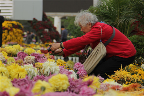 年逾古稀， “花心”依舊